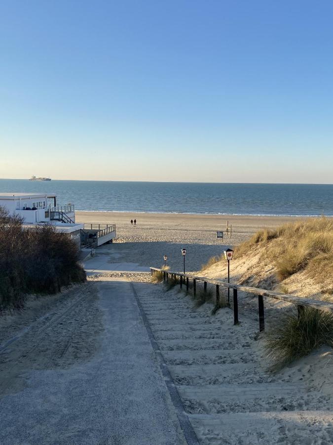 Nv 1153 - Beach Resort Nieuwvliet Bad Exteriér fotografie